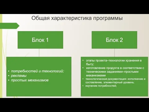 Общая характеристика программы Блок 1 Блок 2 потребностей и технологий; рекламы