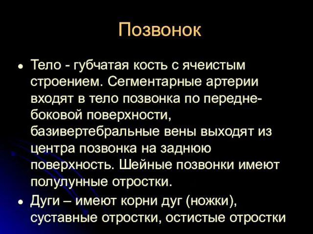 Позвонок Тело - губчатая кость с ячеистым строением. Сегментарные артерии входят