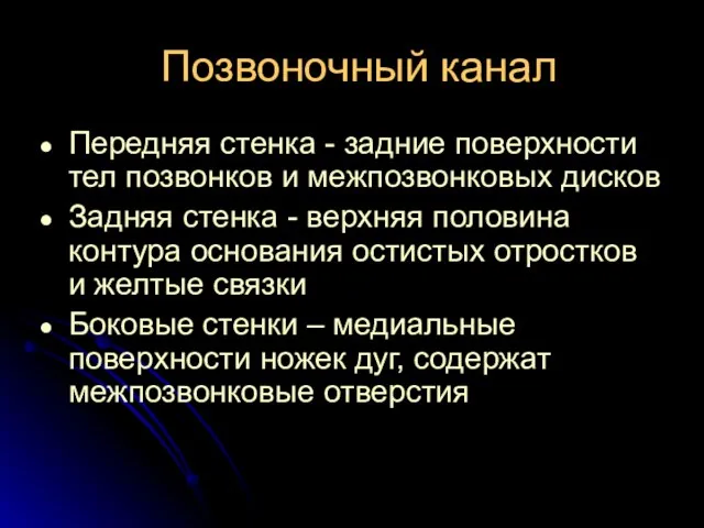 Позвоночный канал Передняя стенка - задние поверхности тел позвонков и межпозвонковых