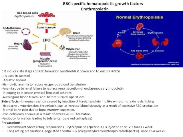 : It induces late stages of RBC formation (erythroblast conversion to