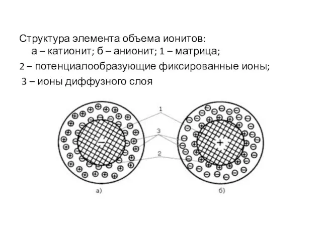 Структура элемента объема ионитов: а – катионит; б – анионит; 1