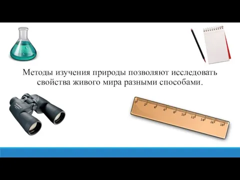 Методы изучения природы позволяют исследовать свойства живого мира разными способами.