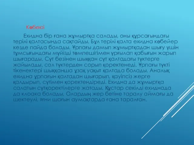 Көбеюі Ехидна бір ғана жұмыртқа салады, оны құрсағындағы терілі қалтасында сақтайды.