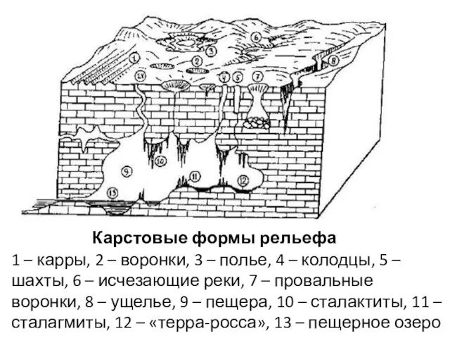 Карстовые формы рельефа 1 – карры, 2 – воронки, 3 –