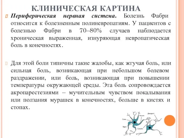 Периферическая нервная система. Болезнь Фабри относится к болезненным полиневропатиям. У пациентов