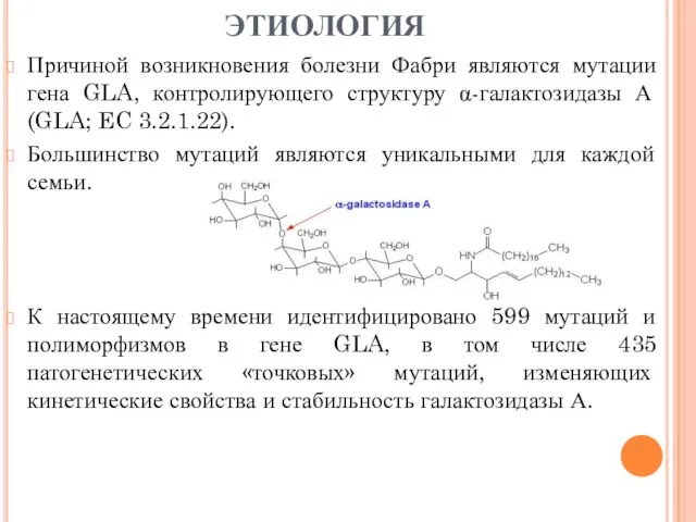 ЭТИОЛОГИЯ Причиной возникновения болезни Фабри являются мутации гена GLA, контролирующего структуру