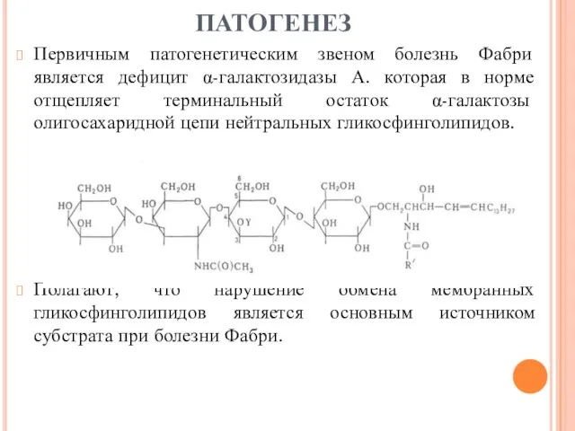 ПАТОГЕНЕЗ Первичным патогенетическим звеном болезнь Фабри является дефицит α-галактозидазы А. которая