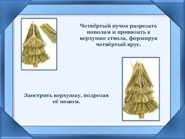 Четвёртый пучок разрезать пополам и привязать к верхушке ствола, формируя четвёртый ярус.