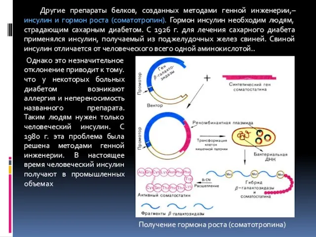 Другие препараты белков, созданных методами генной инженерии,– инсулин и гормон роста