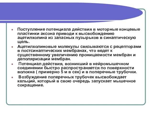 Поступление потенциала действия в моторные концевые пластинки аксона приводи к высвобождению