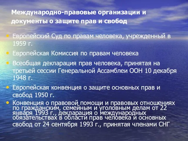 Международно-правовые организации и документы о защите прав и свобод Европейский Суд