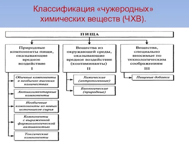 Классификация «чужеродных» химических веществ (ЧХВ).