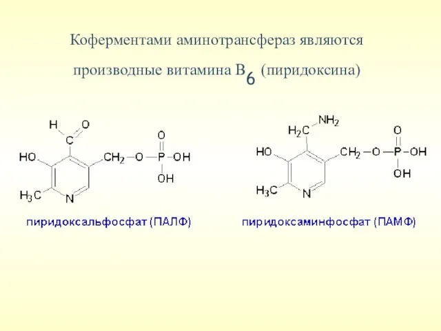 Коферментами аминотрансфераз являются производные витамина В6 (пиридоксина)