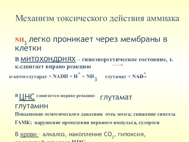 Механизм токсического действия аммиака NH3 легко проникает через мембраны в клетки