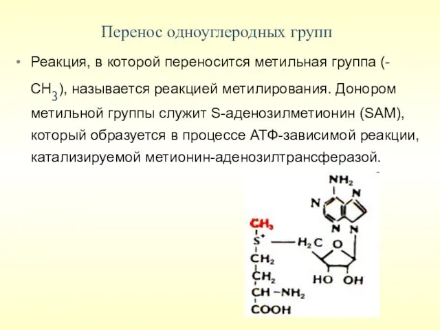 Перенос одноуглеродных групп Реакция, в которой переносится метильная группа (-СН3), называется
