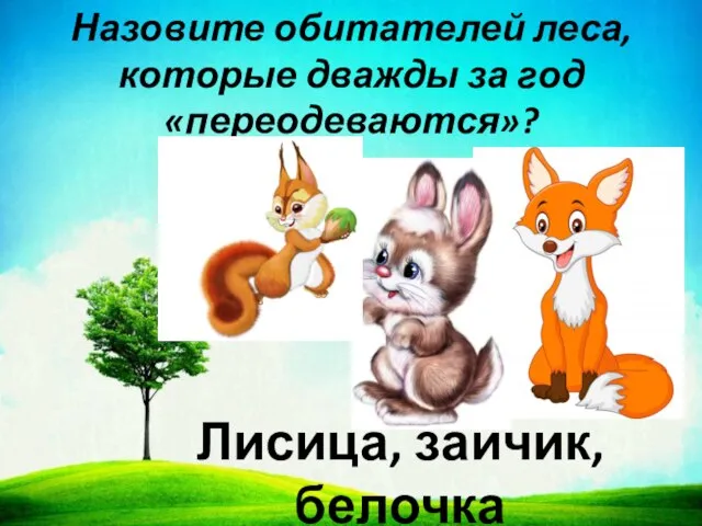 Назовите обитателей леса, которые дважды за год «переодеваются»? Лисица, зайчик, белочка