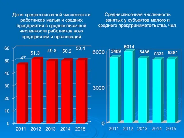 Доля среднесписочной численности работников малых и средних предприятий в среднесписочной численности