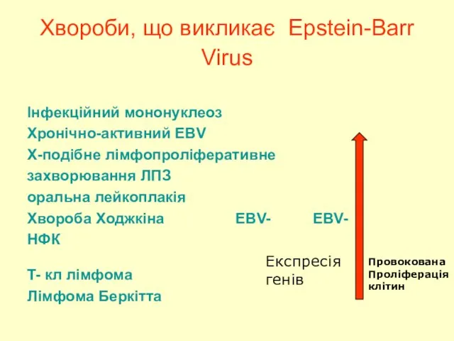 Хвороби, що викликає Epstein-Barr Virus Інфекційний мононуклеоз Хронічно-активний EBV X-подібне лімфопроліферативне