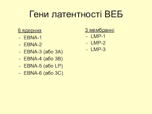 Гени латентності ВЕБ 6 ядерних EBNA-1 EBNA-2 EBNA-3 (або 3А) EBNA-4