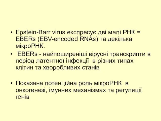 Epstein-Barr virus експресує дві малі РНК = EBERs (EBV-encoded RNAs) та