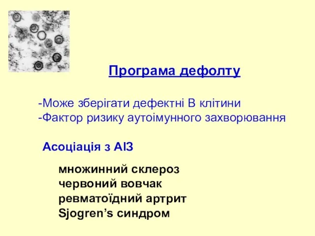 Програма дефолту Може зберігати дефектні B клітини Фактор ризику аутоімунного захворювання