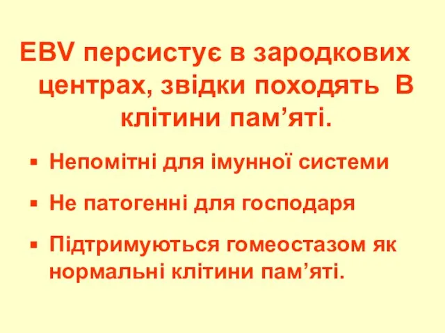 EBV персистує в зародкових центрах, звідки походять B клітини пам’яті. Непомітні