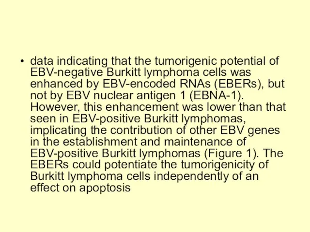 data indicating that the tumorigenic potential of EBV-negative Burkitt lymphoma cells