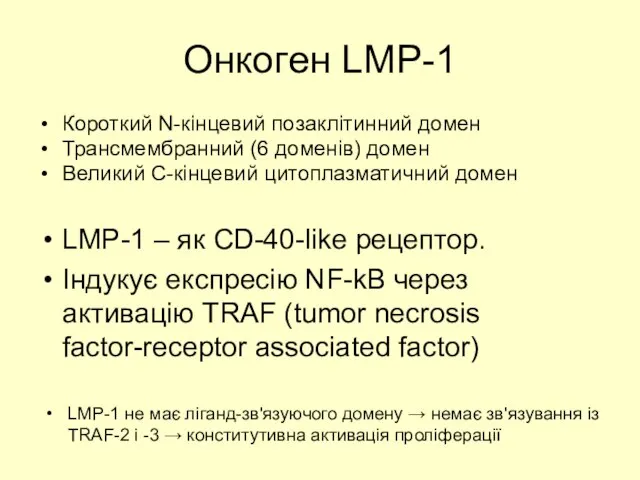 Онкоген LMP-1 Короткий N-кінцевий позаклітинний домен Трансмембранний (6 доменів) домен Великий