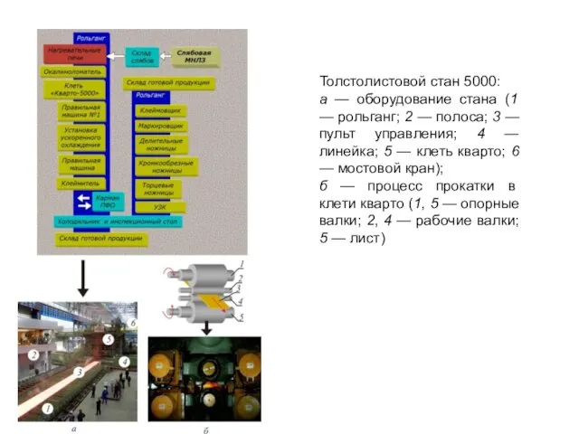 Толстолистовой стан 5000: а — оборудование стана (1 — рольганг; 2