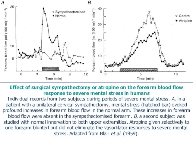 Effect of surgical sympathectomy or atropine on the forearm blood flow