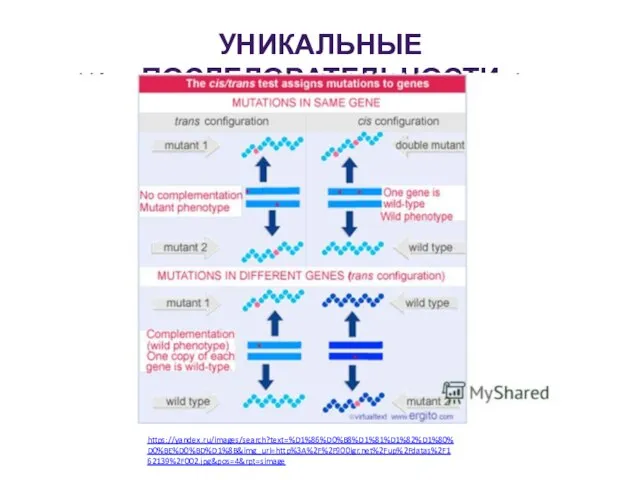 УНИКАЛЬНЫЕ ПОСЛЕДОВАТЕЛЬНОСТИ https://yandex.ru/images/search?text=%D1%86%D0%B8%D1%81%D1%82%D1%80%D0%BE%D0%BD%D1%8B&img_url=http%3A%2F%2F900igr.net%2Fup%2Fdatas%2F162139%2F002.jpg&pos=4&rpt=simage