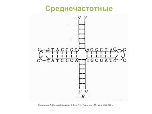 Среднечастотные повторы Ленинджер А. Основы биохимии: В 3-х т. Т. 3.