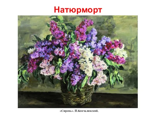 Натюрморт «Сирень». П.Кончаловский.