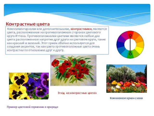 Комплементарными или дополнительными, контрастными, являются цвета, расположенные на противоположных сторонах цветового