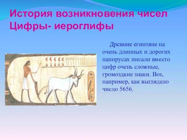 История возникновения чисел Цифры- иероглифы Древние египтяне на очень длинных и