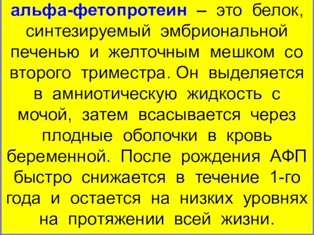 альфа-фетопротеин – это белок, синтезируемый эмбриональной печенью и желточным мешком со