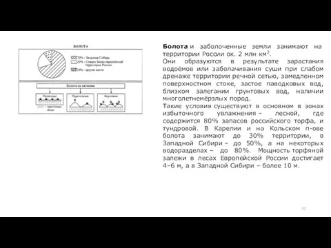 Болота и заболоченные земли занимают на территории России ок. 2 млн