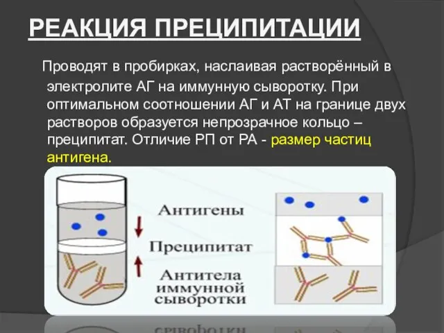 РЕАКЦИЯ ПРЕЦИПИТАЦИИ Проводят в пробирках, наслаивая растворённый в электролите АГ на