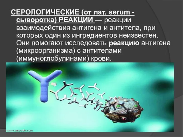 СЕРОЛОГИЧЕСКИЕ (от лат. serum - сыворотка) РЕАКЦИИ — реакции взаимодействия антигена