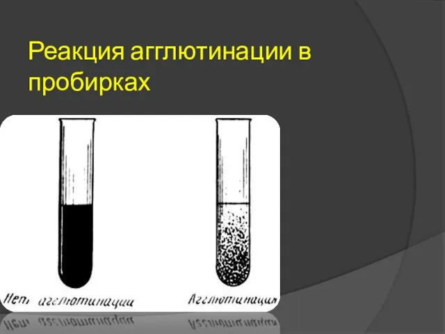 Реакция агглютинации в пробирках