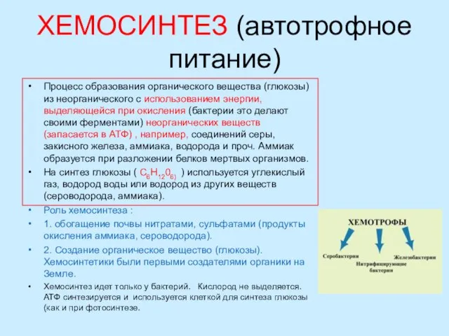 ХЕМОСИНТЕЗ (автотрофное питание) Процесс образования органического вещества (глюкозы) из неорганического с