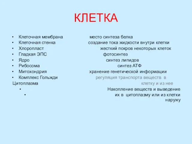 КЛЕТКА Клеточная мембрана место синтеза белка Клеточная стенка создание тока жидкости