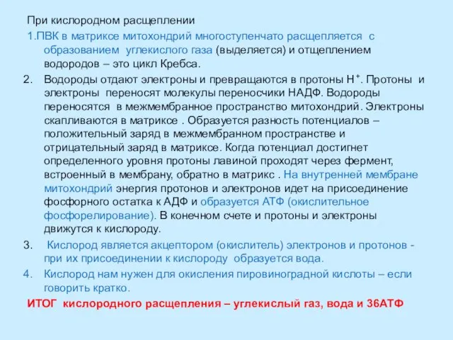 При кислородном расщеплении 1.ПВК в матриксе митохондрий многоступенчато расщепляется с образованием