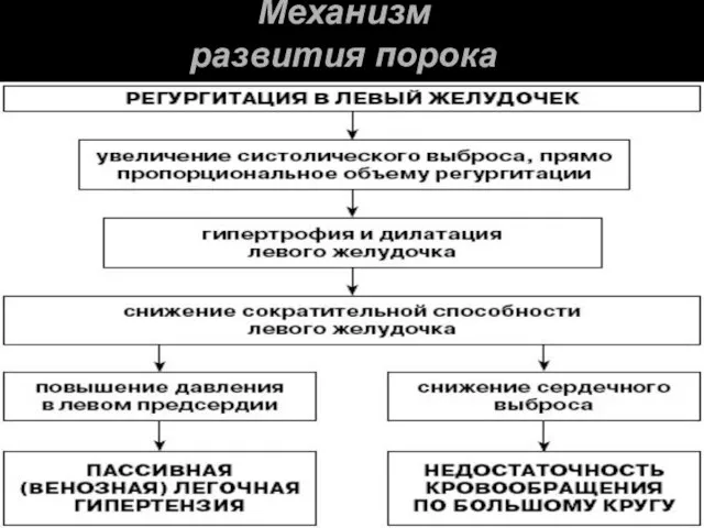 Механизм развития порока