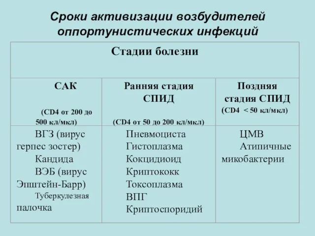 Сроки активизации возбудителей оппортунистических инфекций