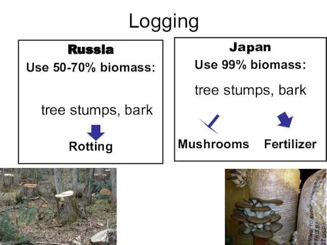 Logging Russia Use 50-70% biomass: tree stumps, bark Rotting Japan Use