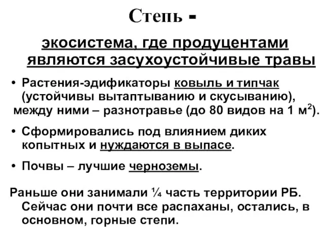 Степь - экосистема, где продуцентами являются засухоустойчивые травы Растения-эдификаторы ковыль и