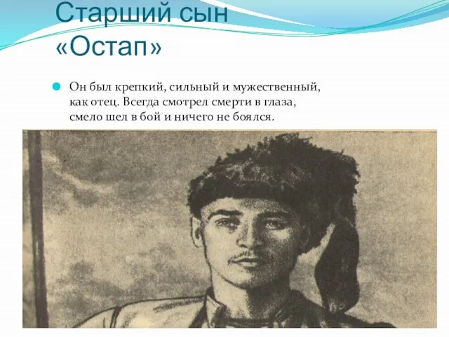 Старший сын «Остап» Он был крепкий, сильный и мужественный, как отец.