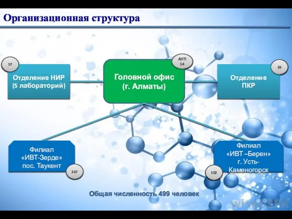 Организационная структура Общая численность 499 человек Головной офис (г. Алматы) Отделение