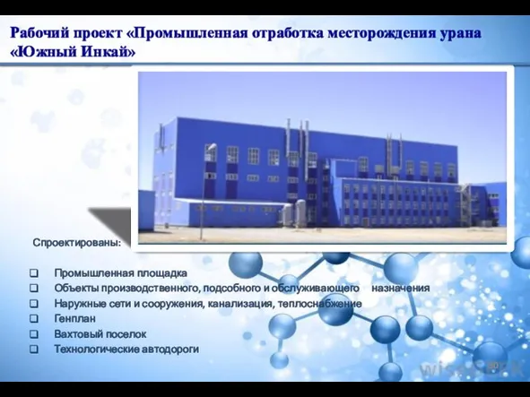 Рабочий проект «Промышленная отработка месторождения урана «Южный Инкай» Спроектированы: Промышленная площадка